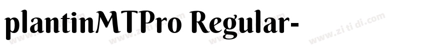 plantinMTPro Regular字体转换